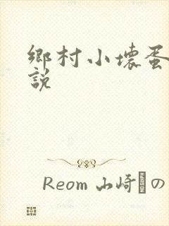 乡村小坏蛋 小说