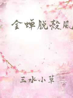金蝉脱壳风弄