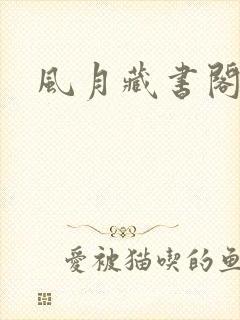风月藏书阁