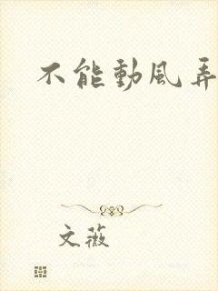 不能动风弄