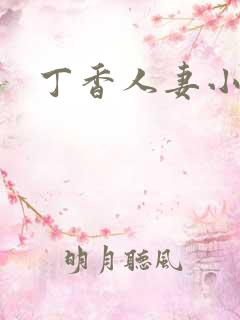 丁香人妻小说