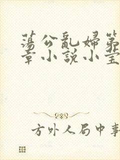 荡公乱妇第51章小说小莹