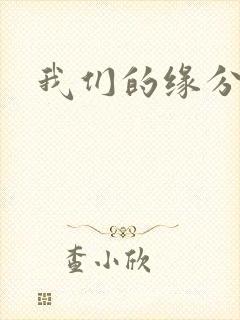 我们的缘分小说