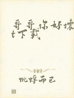 哥哥你好坏txt下载