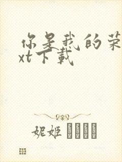 你是我的荣耀txt下载