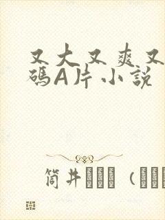 又大又爽又黄无码A片小说