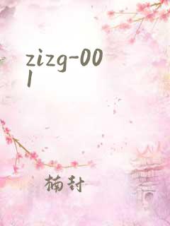 zizg-001