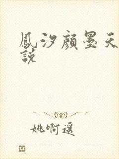 凤汐颜墨天问小说