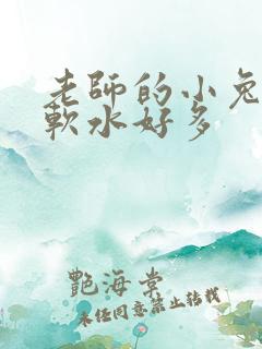 老师的小兔子好软水好多