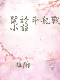 关于斗龙战士的小说