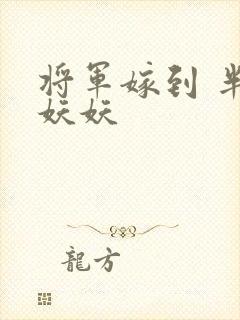 将军嫁到 半袖妖妖