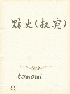 点火(叔宠)