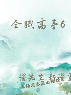 全职高手6