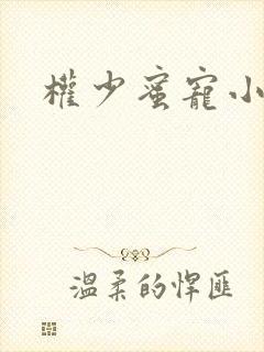 权少蜜宠小娇妻