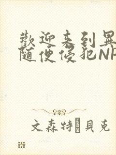 欢迎来到异世界随便侵犯NPC