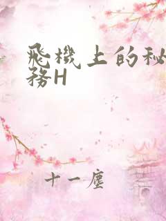 飞机上的秘密服务H