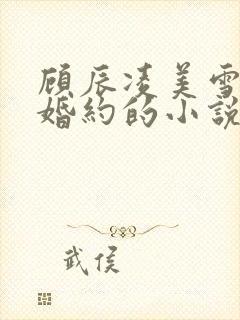 顾辰凌美雪五份婚约的小说名字叫什么