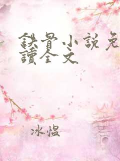 铁骨小说免费阅读全文