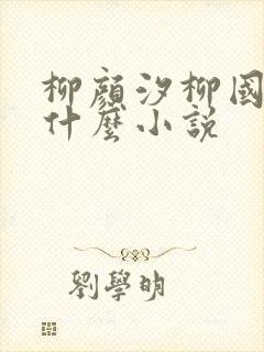 柳颜汐柳国安是什么小说