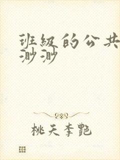 班级的公共玩具渺渺