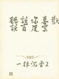 听说你喜欢我小说百度云