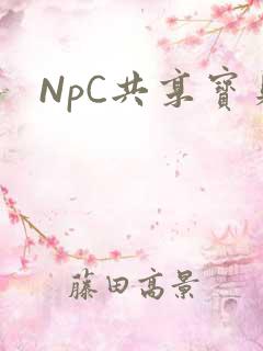 NpC共享宝贝