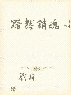 黯然销魂 小说
