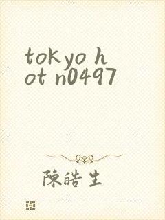 tokyo hot n0497