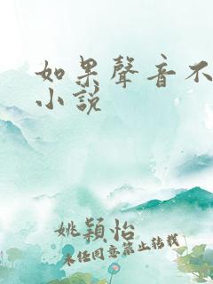 如果声音不记得小说