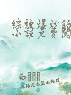 综被爆炒的日常小说免费阅读