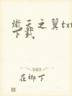炽天之翼txt下载