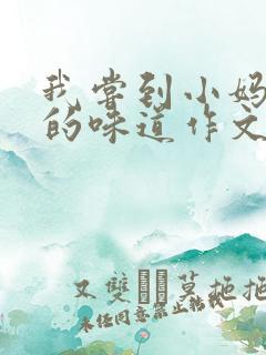 我尝到小妈苏蕊的味道作文谁写的