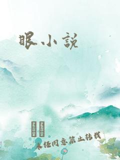 眼小说