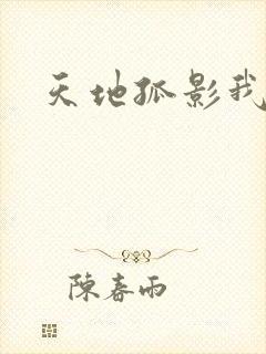 天地孤影我独行