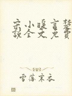 宋小暖言楚行小说全文免费阅读