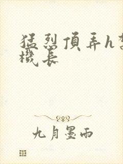 猛烈顶弄h禁欲机长