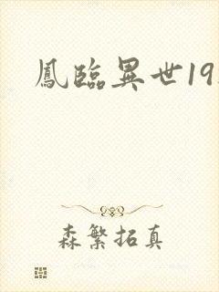 凤临异世19楼