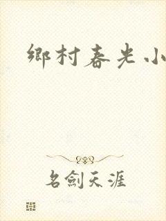 乡村春光小说