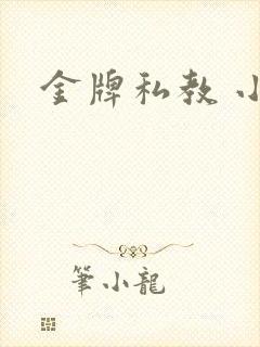 金牌私教 小说