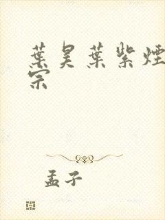 叶昊叶紫烟老祖宗