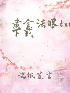 黄金法眼txt下载