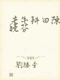 老牛耕田陈雪杨晓芬