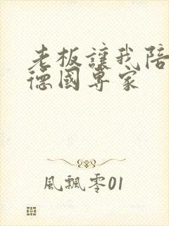 老板让我陪两个德国专家