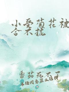 小受菊花被双龙合不拢