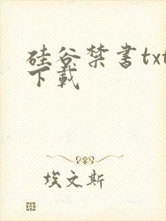 硅谷禁书txt下载