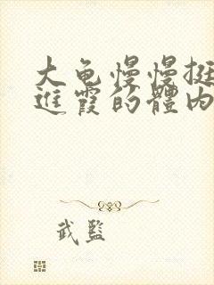 大龟慢慢挺进王进霞的体内