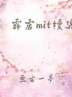 霹雳mit续集