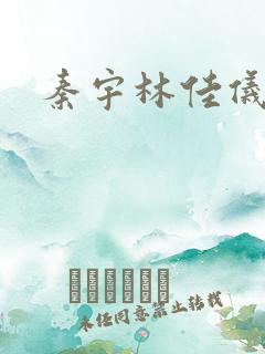 秦宇林佳仪小说