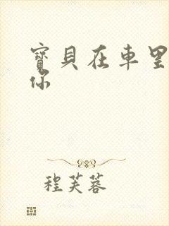 宝贝在车里想要你