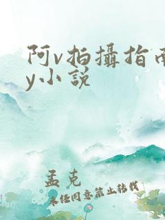 阿v拍摄指南by小说